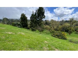  Grundstück zu verkaufen in Retiro, Antioquia, Retiro