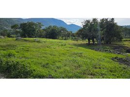  Terreno (Parcela) en venta en Chinacota, Norte De Santander, Chinacota