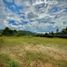Terrain à vendre à Rionegro, Antioquia, Rionegro, Antioquia, Colombie