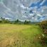 Terrain à vendre à Rionegro, Antioquia, Rionegro, Antioquia, Colombie