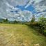 Terrain à vendre à Rionegro, Antioquia, Rionegro, Antioquia, Colombie