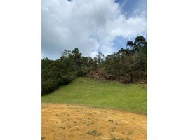  Terreno (Parcela) en venta en Huila, Neiva, Huila