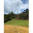  Land for sale in Neiva, Huila, Neiva, Huila