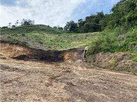  Land for sale in Manizales, Caldas, Manizales