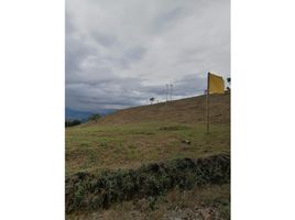  Land for sale in Manizales, Caldas, Manizales