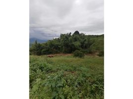  Land for sale in Manizales, Caldas, Manizales