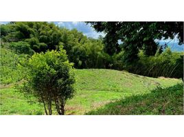  Land for sale in Manizales, Caldas, Manizales