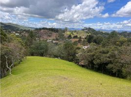  Grundstück zu verkaufen in Retiro, Antioquia, Retiro