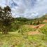 Land for sale in La Ceja, Antioquia, La Ceja