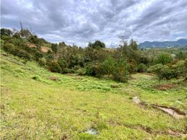  Grundstück zu verkaufen in La Ceja, Antioquia, La Ceja
