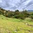  Land for sale in La Ceja, Antioquia, La Ceja