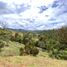  Land for sale in La Ceja, Antioquia, La Ceja