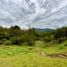  Land for sale in La Ceja, Antioquia, La Ceja