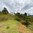  Grundstück zu verkaufen in La Ceja, Antioquia, La Ceja