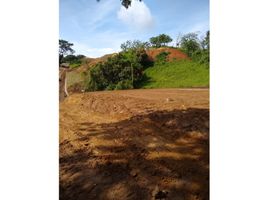  Terreno (Parcela) en venta en Caldas, Manizales, Caldas