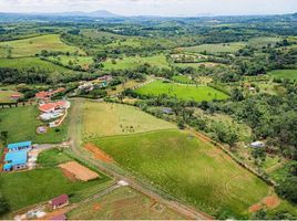  Terreno (Parcela) en venta en Panamá Oeste, Barrio Balboa, La Chorrera, Panamá Oeste