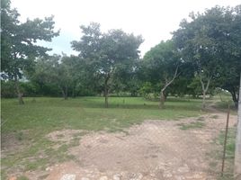  Land for sale in El Palmar Beach, San Carlos, San Carlos