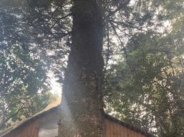 7 Habitación Casa en venta en Angol, Malleco, Angol