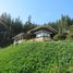  Land for sale in Vichuquen, Maule, Vichuquen, Curico