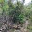  Terrain for sale in Ancud, Chiloe, Ancud