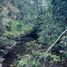  Terrain for sale in Ancud, Chiloe, Ancud