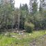  Terrain for sale in Ancud, Chiloe, Ancud