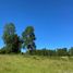  Land for sale in Fresia, Los Lagos, Fresia