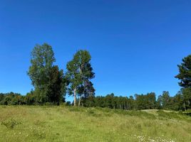  Land for sale in Llanquihue, Los Lagos, Fresia, Llanquihue