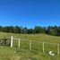  Land for sale in Llanquihue, Los Lagos, Fresia, Llanquihue