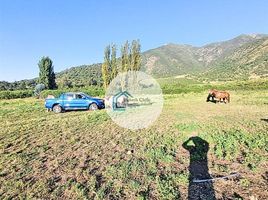  Land for sale in Chile, Requinao, Cachapoal, Libertador General Bernardo Ohiggins, Chile