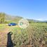 Land for sale in Chile, Requinao, Cachapoal, Libertador General Bernardo Ohiggins, Chile
