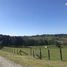  Land for sale in Chile, Llanquihue, Llanquihue, Los Lagos, Chile
