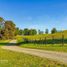 Land for sale in Chile, Llanquihue, Llanquihue, Los Lagos, Chile