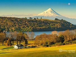  Land for sale in Chile, Llanquihue, Llanquihue, Los Lagos, Chile