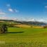  Land for sale in Chile, Llanquihue, Llanquihue, Los Lagos, Chile