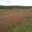  Land for sale in Punilla Cordoba, Punilla
