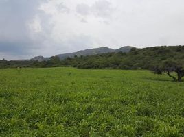  Land for sale in Punilla Cordoba, Punilla