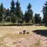  Land for sale in Rio Negro, Bariloche, Rio Negro