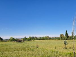  Terreno (Parcela) en venta en Rio Negro, General Roca, Rio Negro