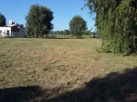  Land for sale in San Vicente, Buenos Aires, San Vicente