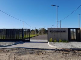  Grundstück zu verkaufen in La Plata, Buenos Aires, La Plata