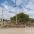  Land for sale in Junin, San Luis, Junin