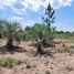  Land for sale in Concordia, Entre Rios, Concordia