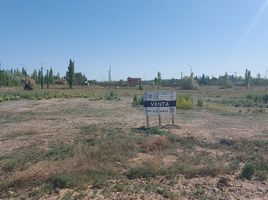  Terreno (Parcela) en venta en Rio Negro, General Roca, Rio Negro