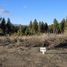  Land for sale in Rio Negro, Bariloche, Rio Negro