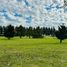  Land for sale in San Vicente, Buenos Aires, San Vicente