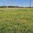  Land for sale in San Vicente, Buenos Aires, San Vicente