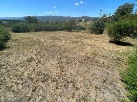  Land for sale in Punilla, Cordoba, Punilla