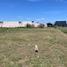  Land for sale in San Lorenzo, Santa Fe, San Lorenzo