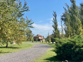  Land for sale in Santa Fe, Rosario, Santa Fe